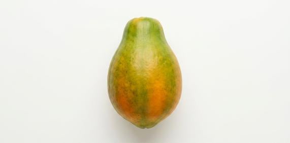 Papaja