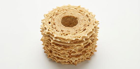 Sękacz