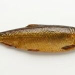 Śledź wędzony „Pikling”