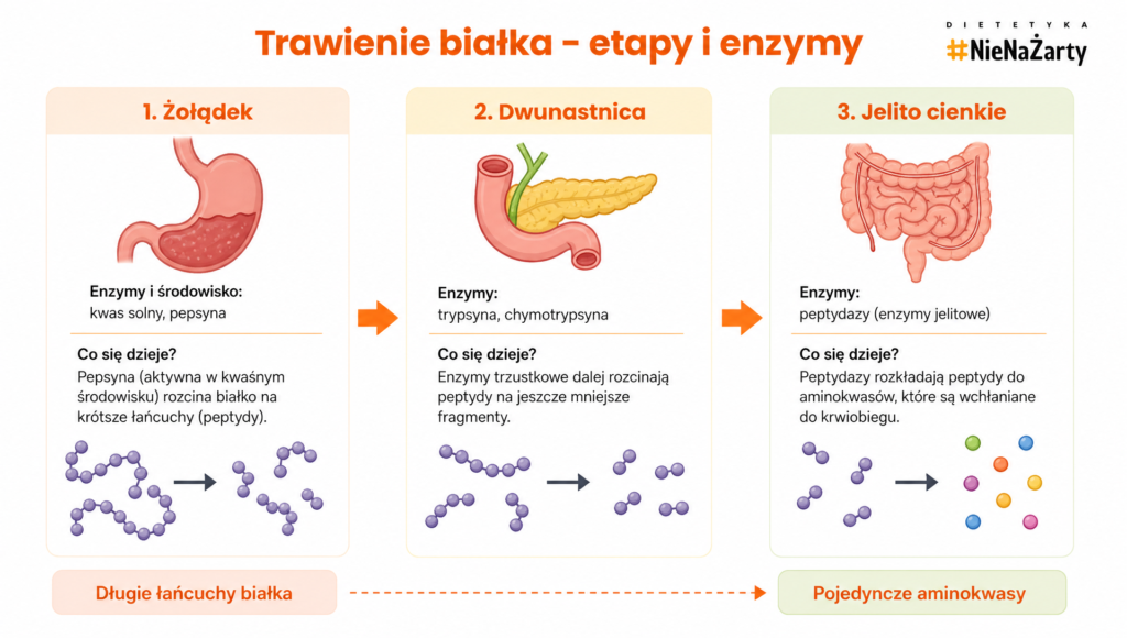 trawienie